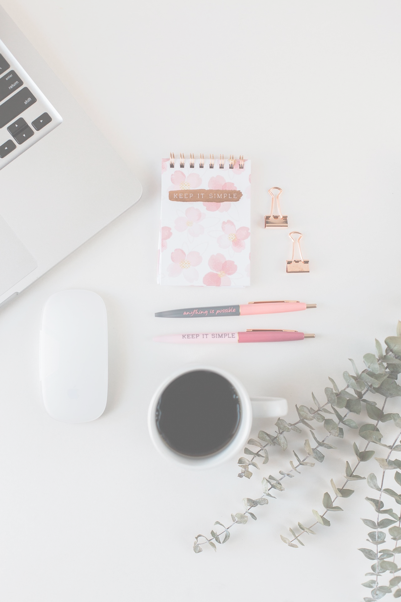 Ayaco Web | Web coder